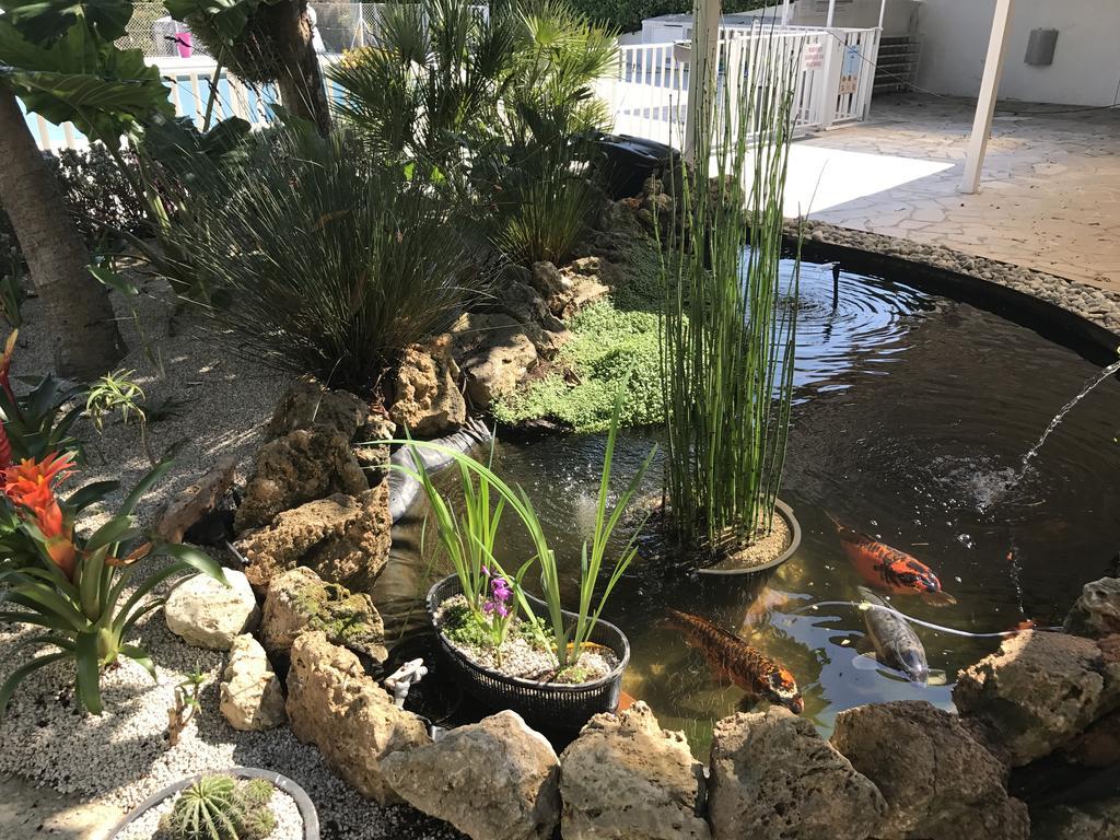 Camping La Paoute Grasse Bagian luar foto